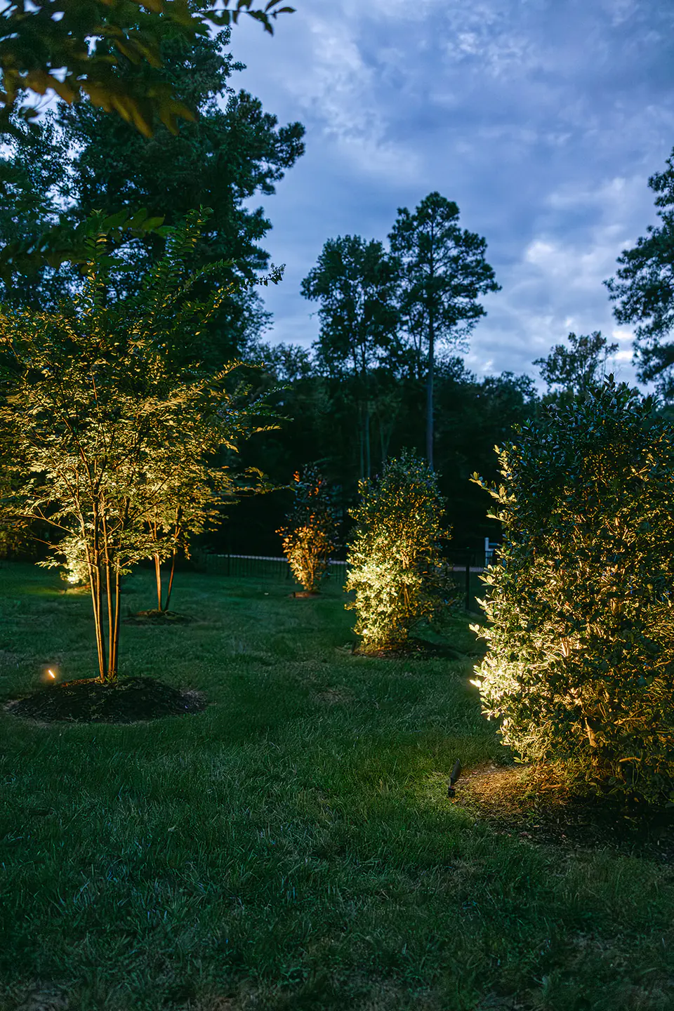 backyard landscaping at night with lighting