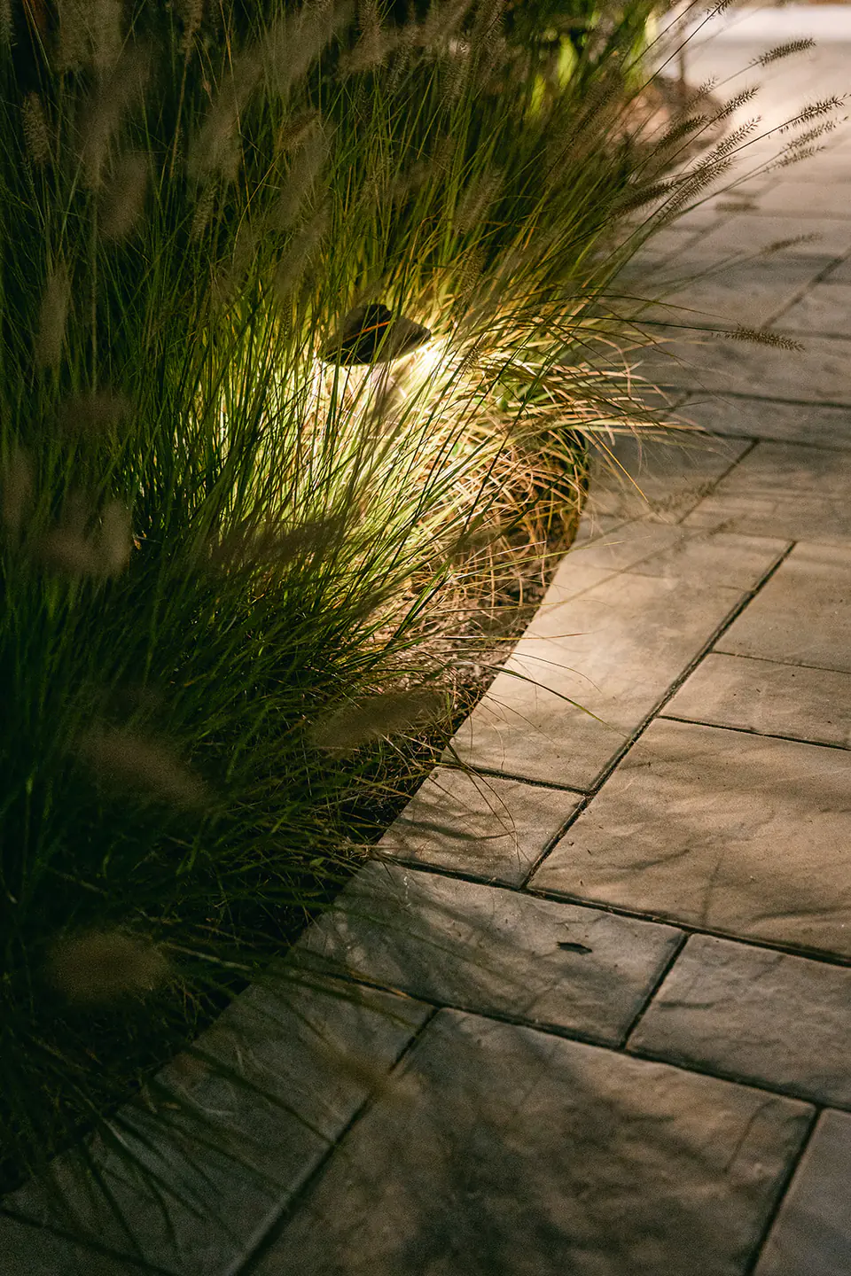 outdoor light in greenery