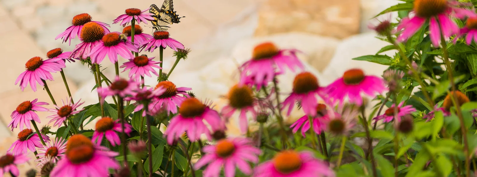 Pool with hot tub and bluestone patio