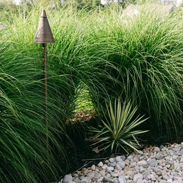 Backyard retreat with layered landscaping and textural contrast