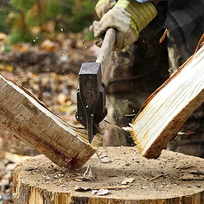 Chopping Wood