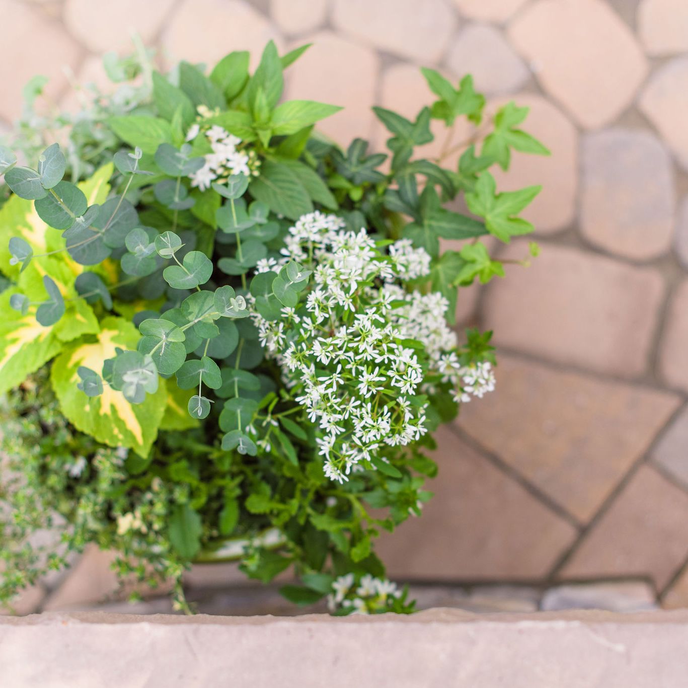 potted plant on a techo-bloc paver patio