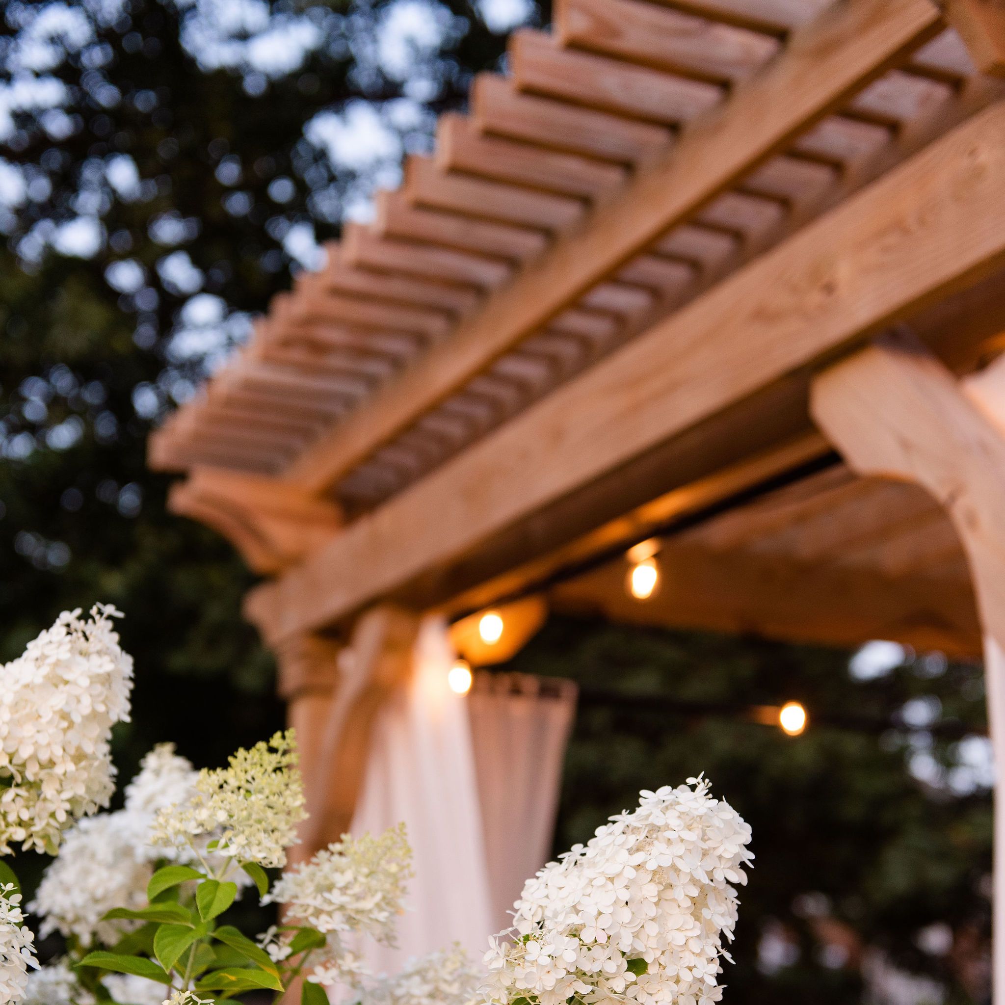 Hydrangea with a pergola and bistro lights