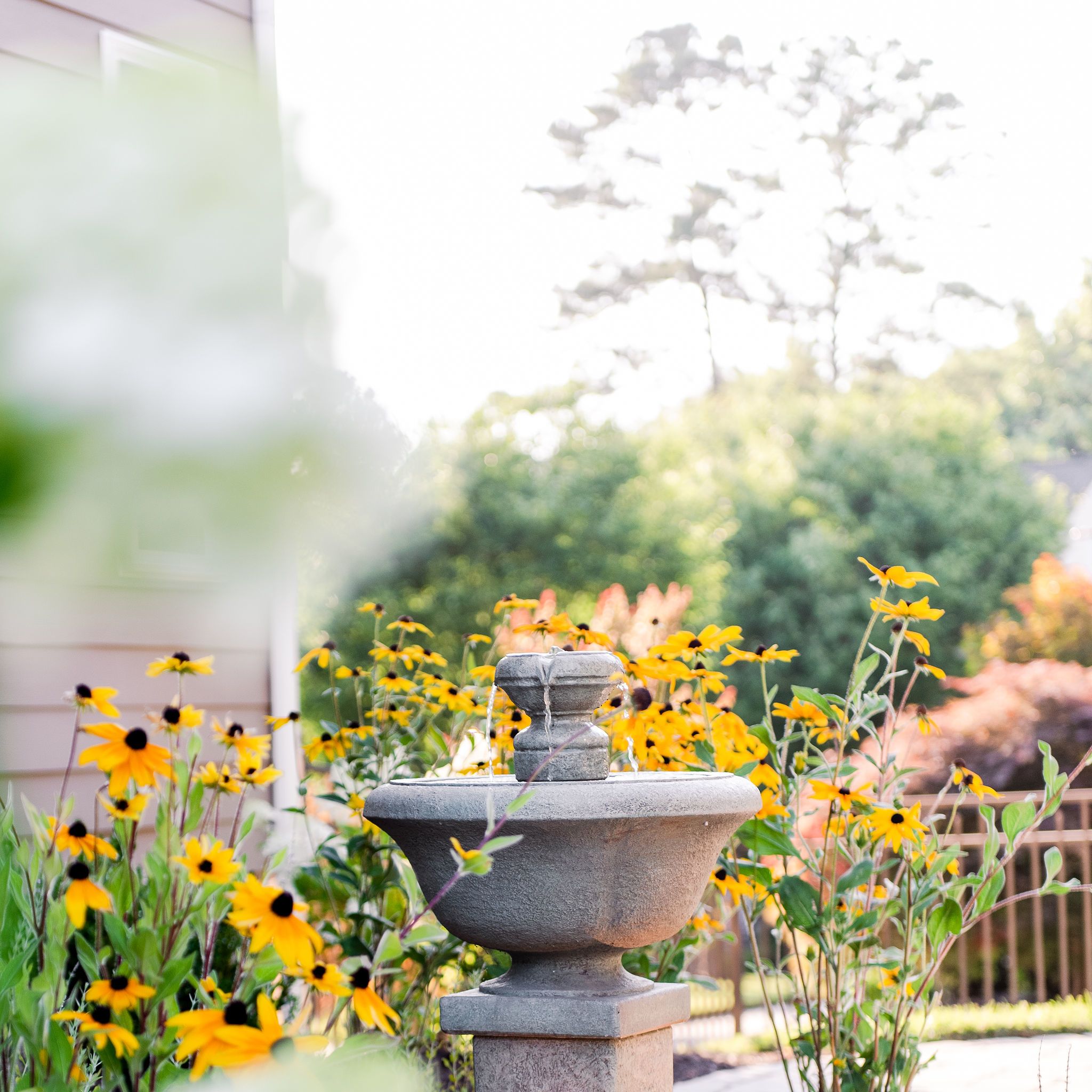Fountain in the landscape with black eyed susan and hydrangea