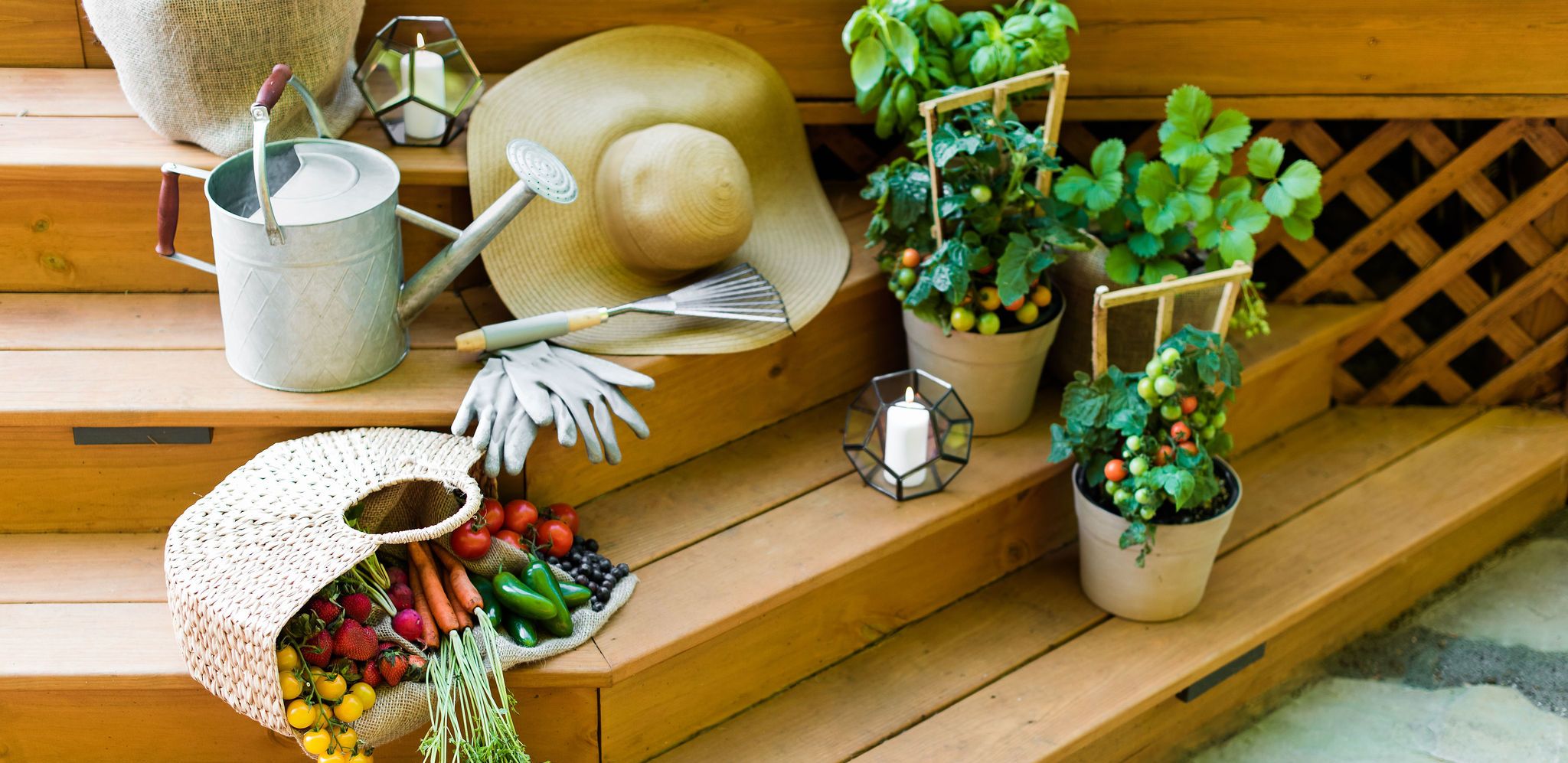 A Guide to Vegetable Container Gardening