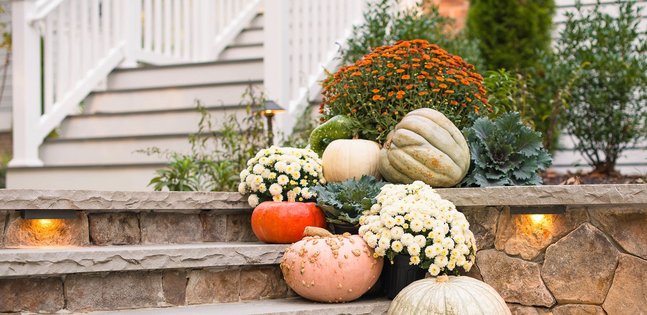 The Ultimate Pumpkin Identification Guide