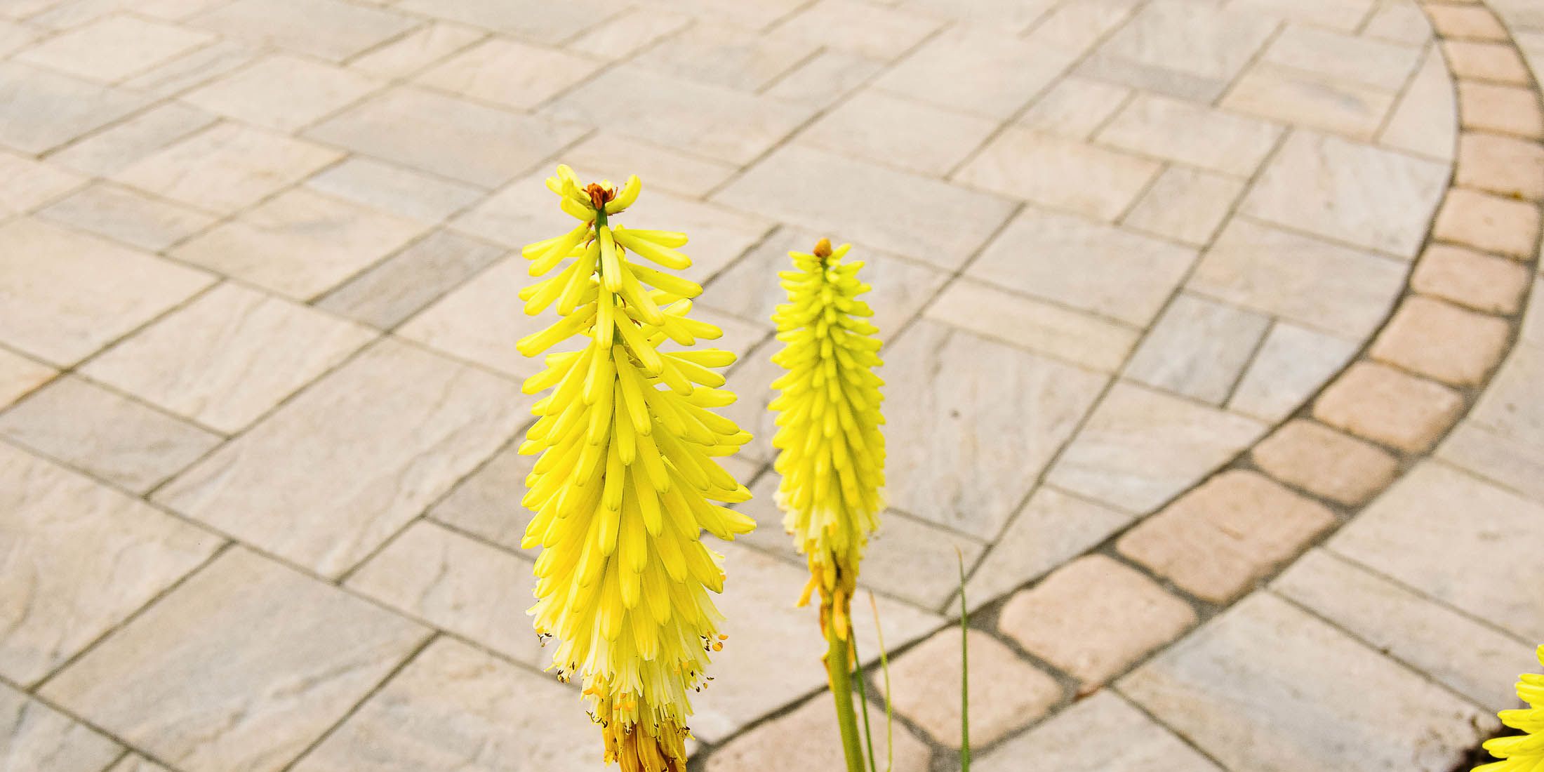 <div>Typical Range: $30,000 - $50,000</div>