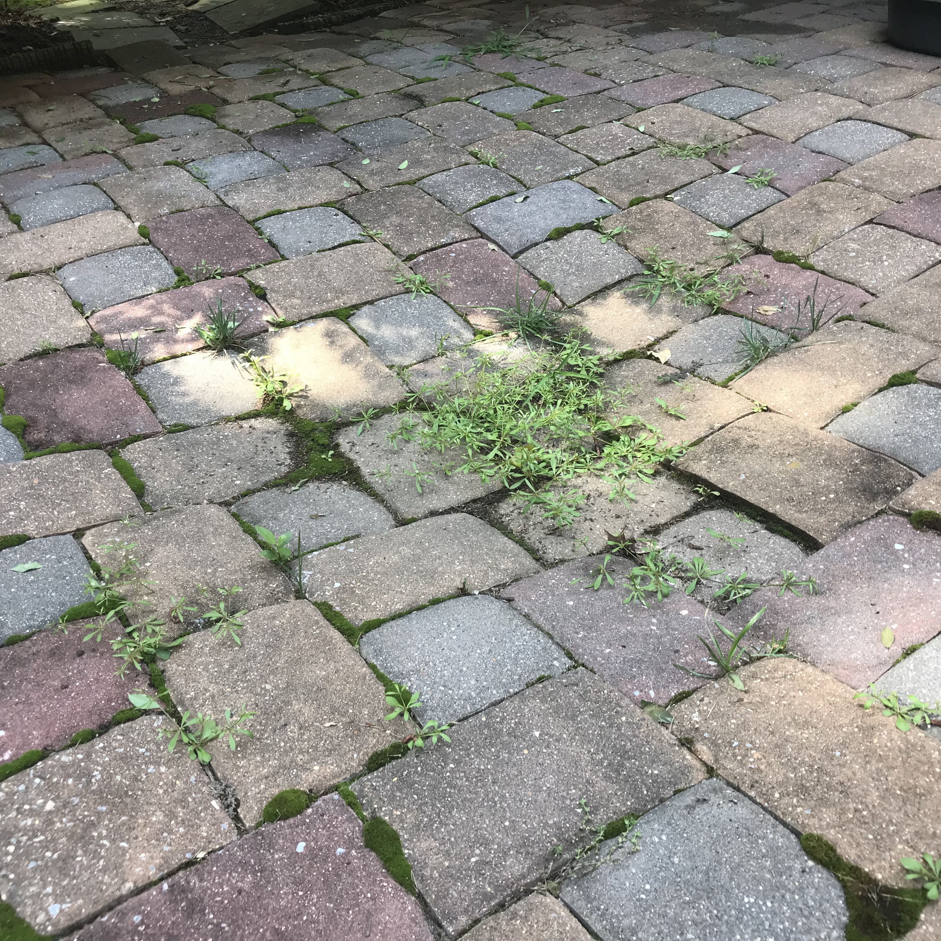 Paver Patio Foundation Failure
